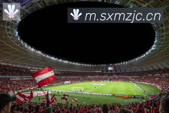 爱游戏ayx登录入口APP 体育赛事宣传图