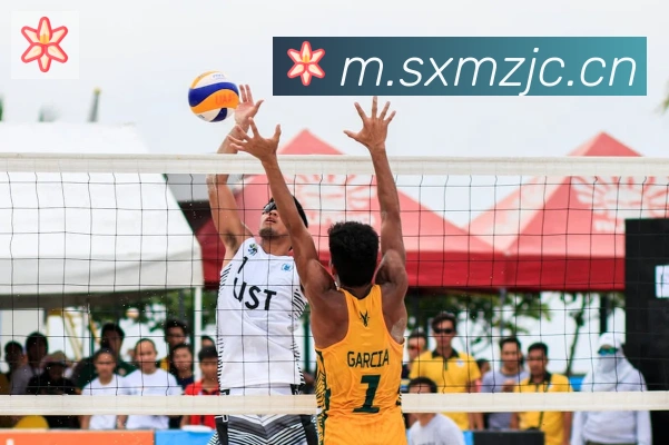 爱游戏ayx登录入口荣誉