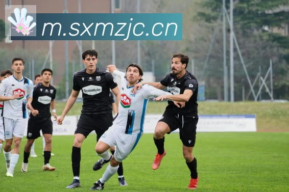 爱游戏ayx登录入口荣誉