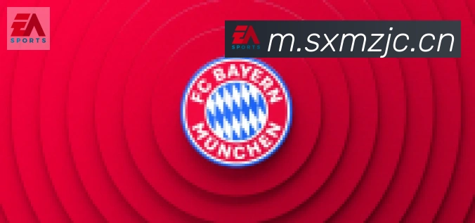 爱游戏ayx登录入口合作伙伴